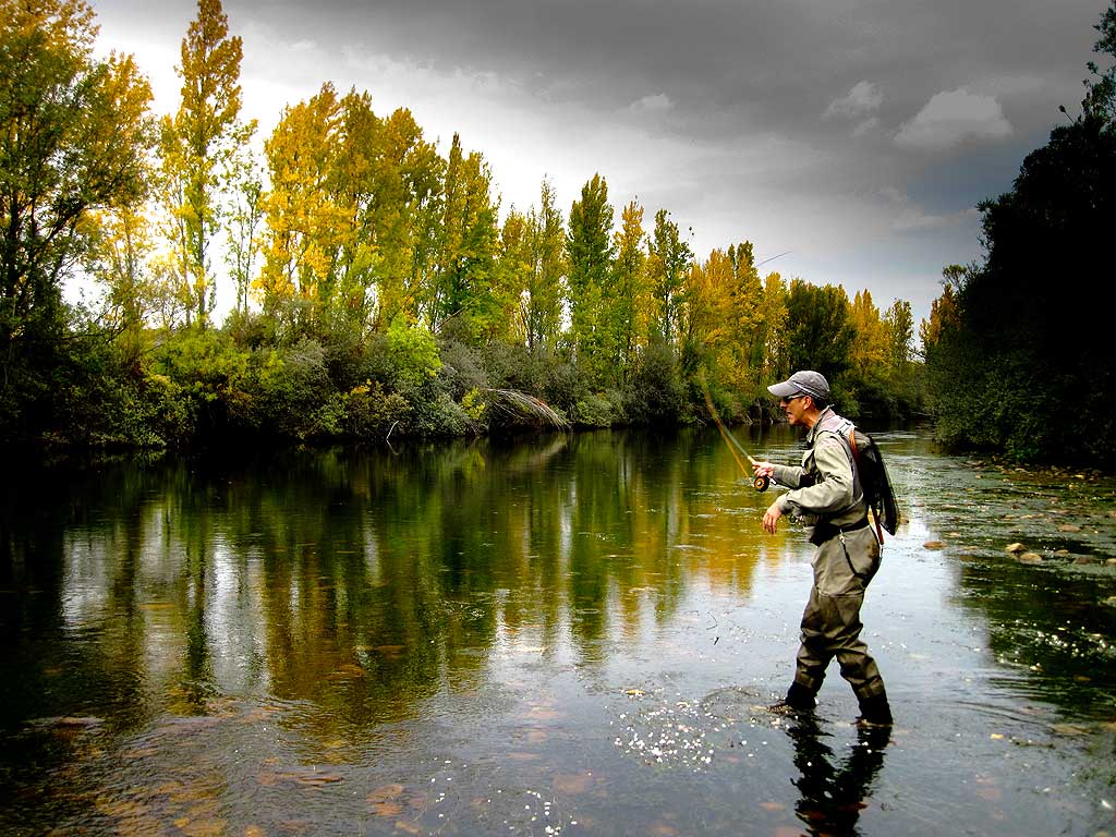 Pesca Con Mosca Fly Fishing Patagonia Youtube Pesca Con Mosca Fly Fishing Patagonia Youtube